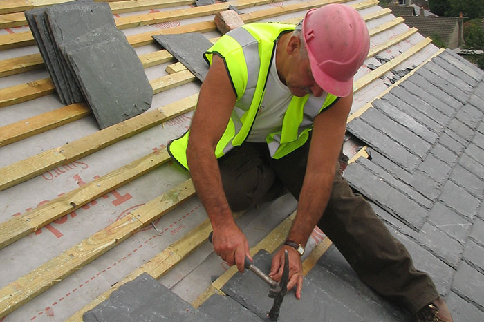 construction management software
